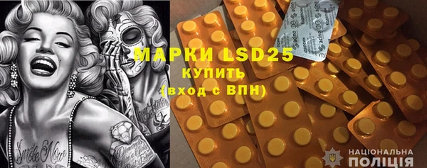 ГАЛЛЮЦИНОГЕННЫЕ ГРИБЫ Алексин